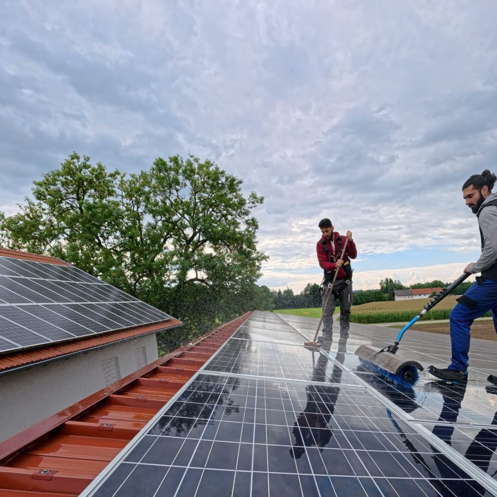 IMG_20250822_093640_026.jpg IMG_20250822_093640_026.jpg